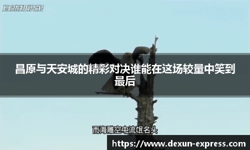 AC米兰体育官网入口